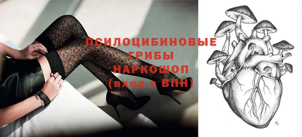 ПСИЛОЦИБИНОВЫЕ ГРИБЫ Елабуга