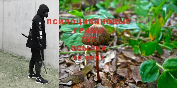 ПСИЛОЦИБИНОВЫЕ ГРИБЫ Елабуга