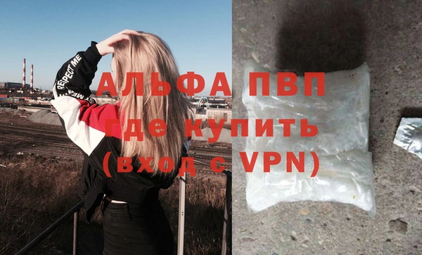 ПСИЛОЦИБИНОВЫЕ ГРИБЫ Елабуга