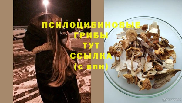марки nbome Заводоуковск