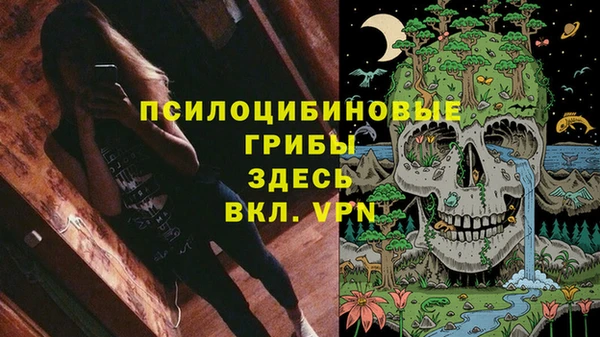 молекула духа Заволжск