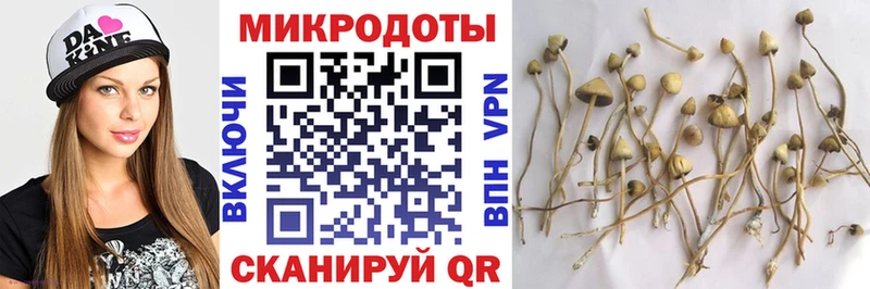 Купить  Сергач  Галлюциногенные грибы MAGIC MUSHROOMS 